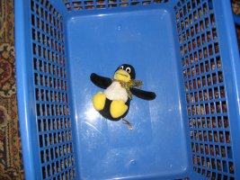 fetter Pinguin im Wäschekorb